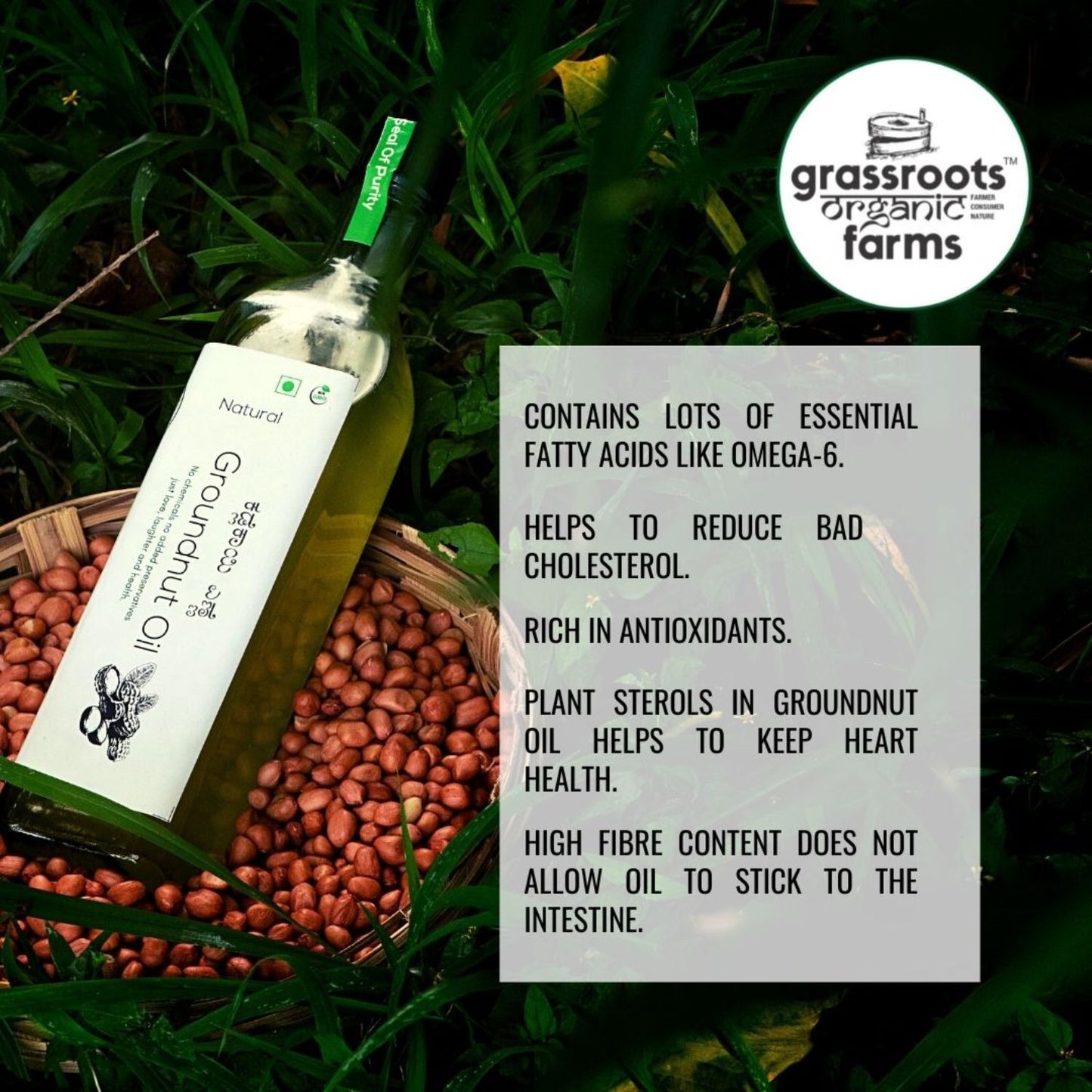 
                  
                    Cold-Pressed Groundnut Oil (1L)
                  
                
