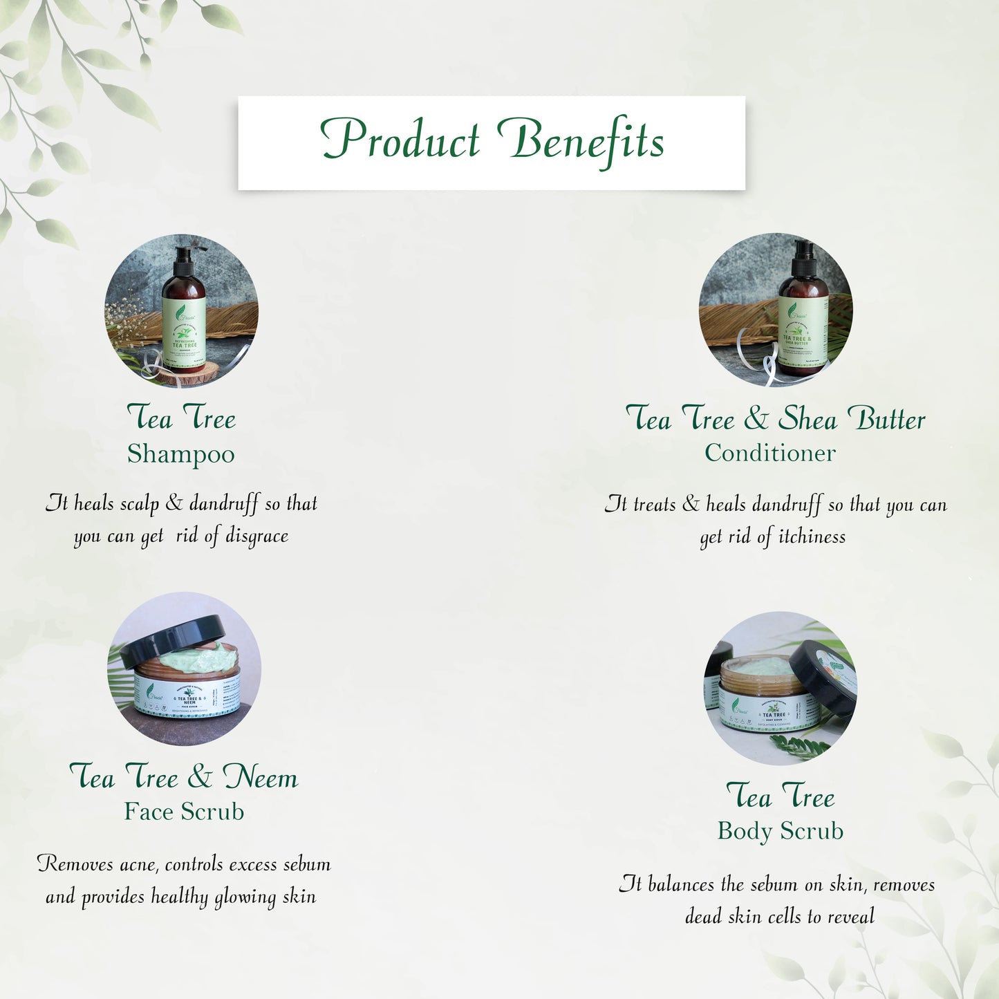 
                  
                    Customize Gift Box for Tea Tree Lovers
                  
                