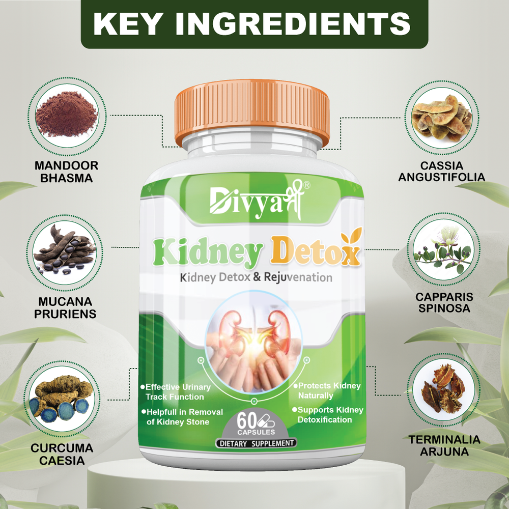 
                  
                    Divya Shree Kidney Detox Capsules (60 Capsules)
                  
                