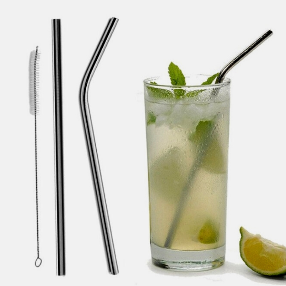 
                  
                    PampEarth Stainless Steel Straw
                  
                