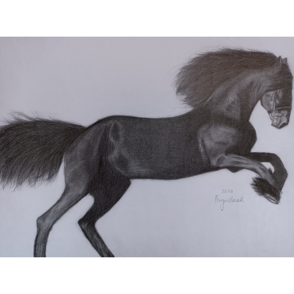 
                  
                    Horse Pencil Drawing
                  
                