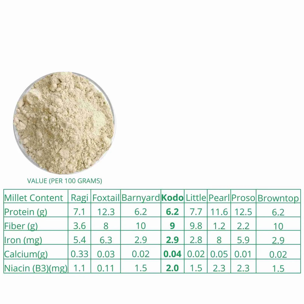 
                  
                    Millet Amma Organic Kodo Flour (500g)
                  
                
