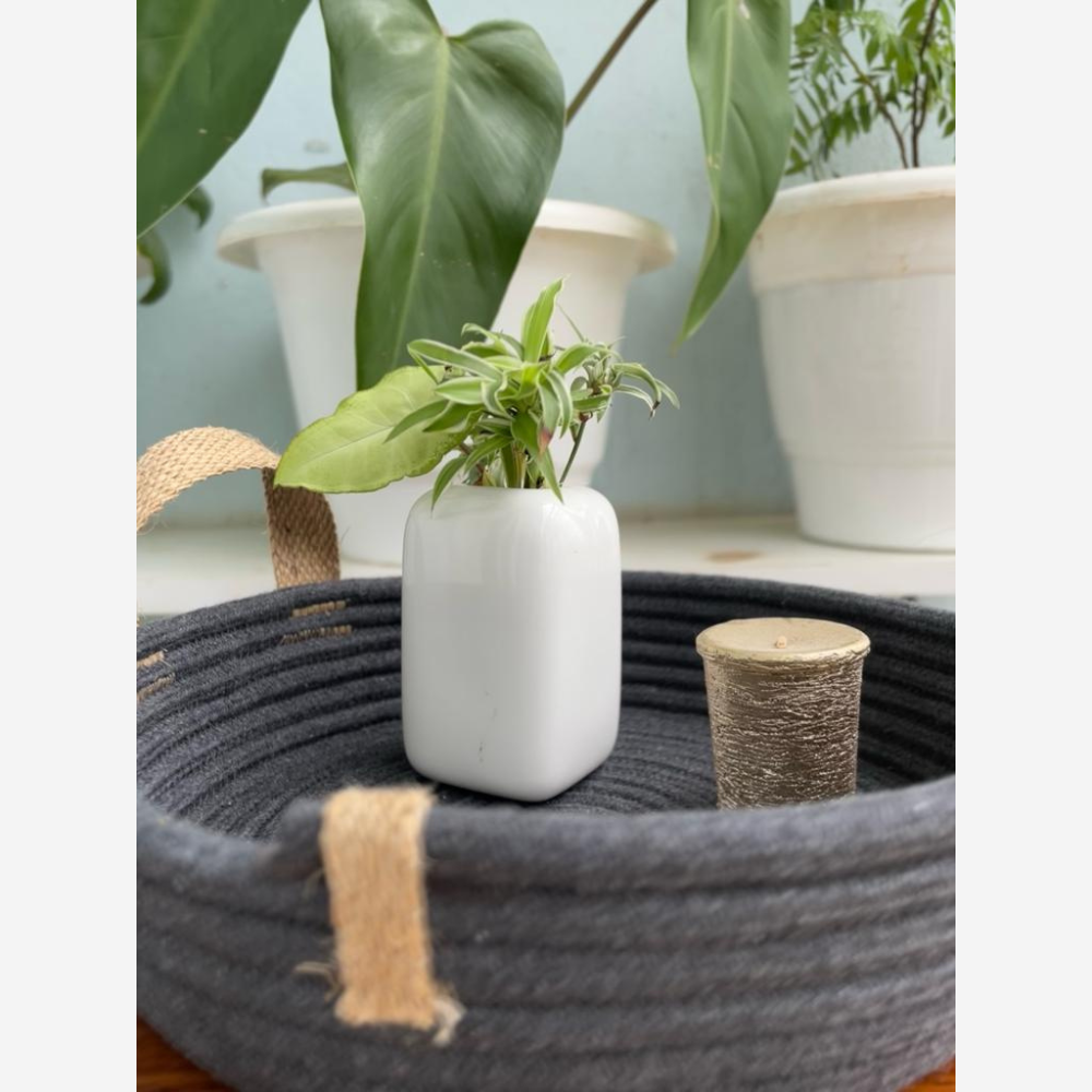 Jute Tray with Handles