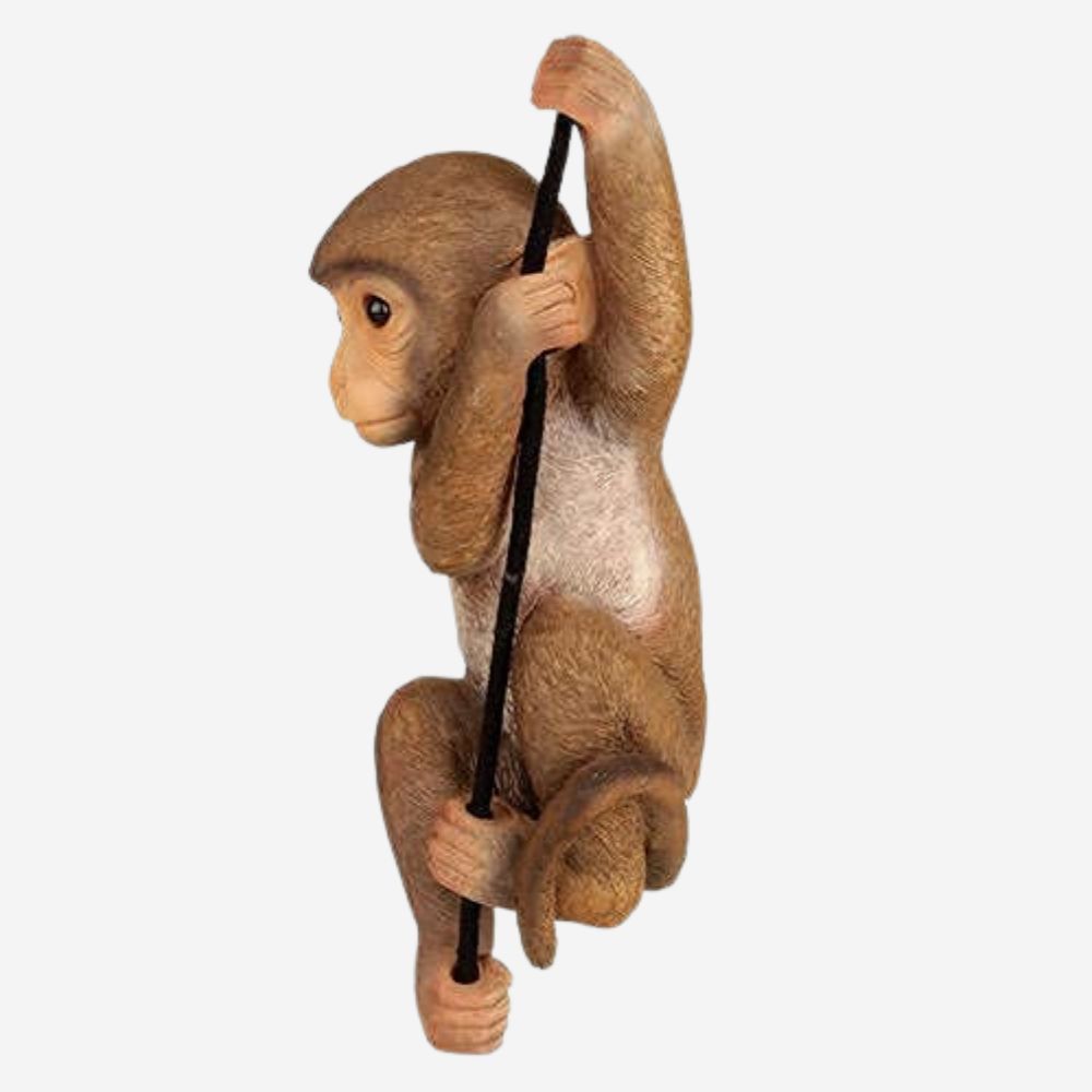 
                  
                    Monkey Showpiece
                  
                