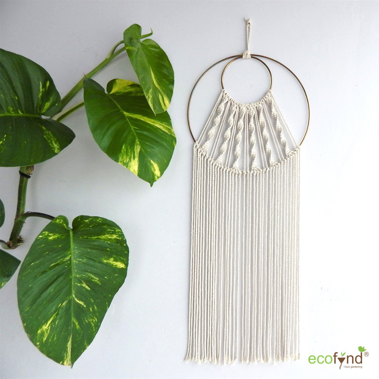 
                  
                    ecofynd White Macrame Dream Catcher with Golden Ring
                  
                