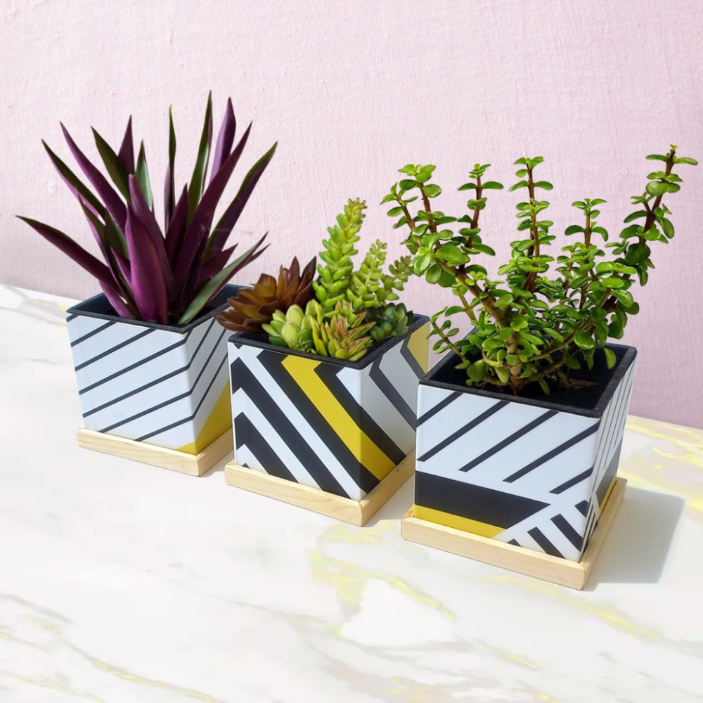 
                  
                    Wooden Table Top Planter (Set of 3)
                  
                