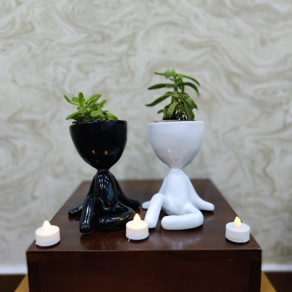 Set of 2 Yoga Planters in black and white resin, featuring stylish succulent plants, ideal for modern home decor.