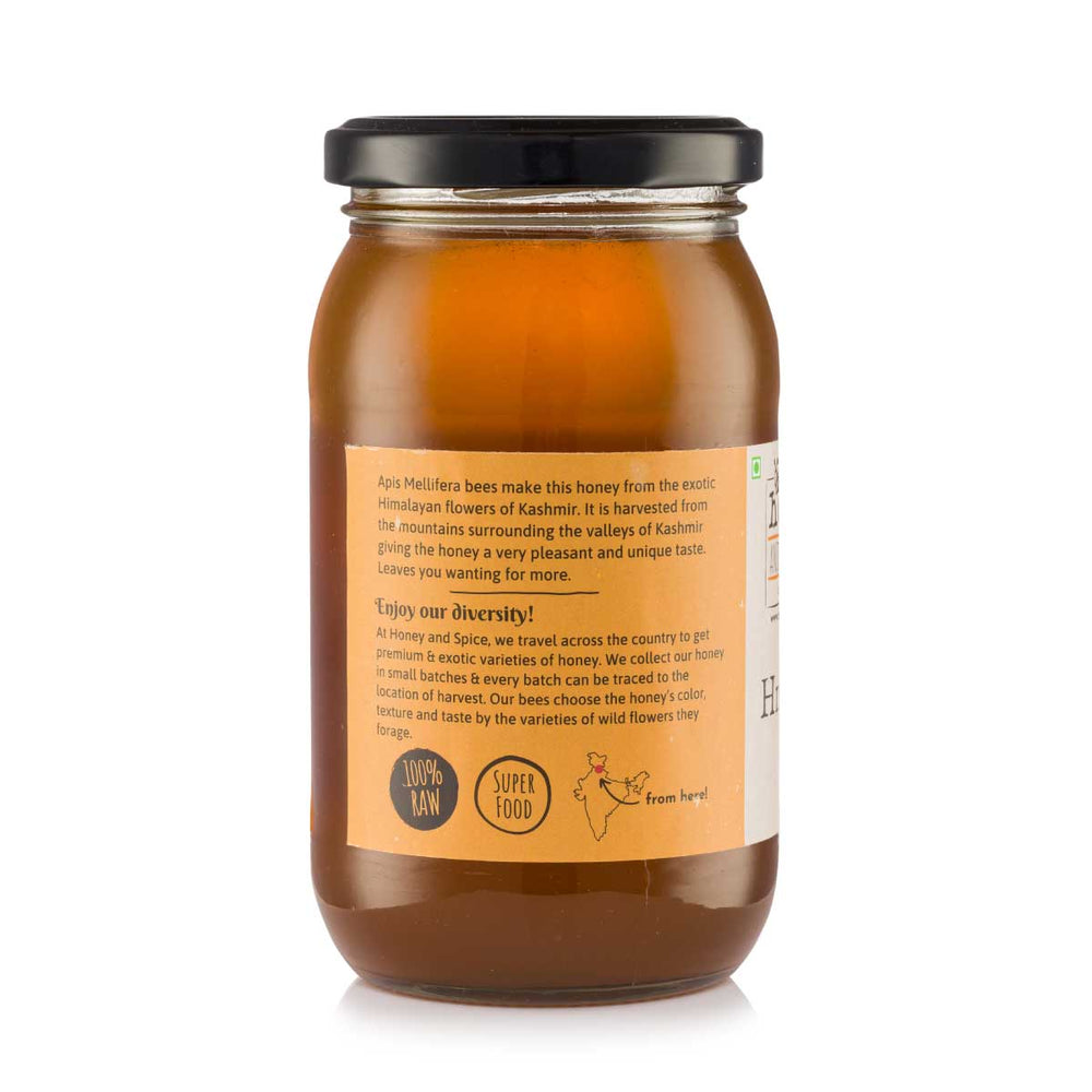 
                  
                    Honey and Spice Kashmir Honey (500g)
                  
                