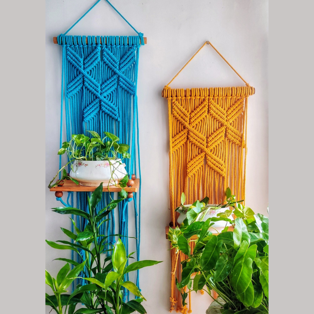 Macrame Plank Plant Holder