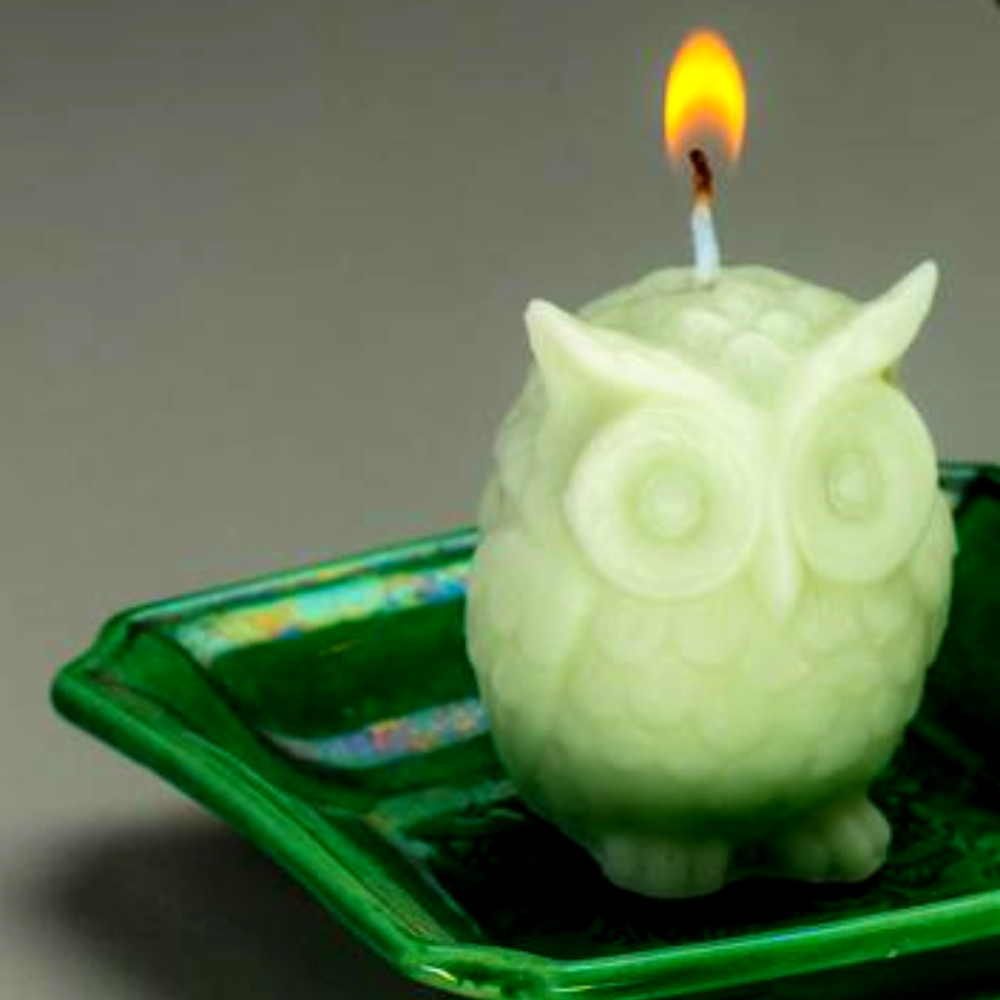 
                  
                    Afterglow Lucky Owl Candle
                  
                
