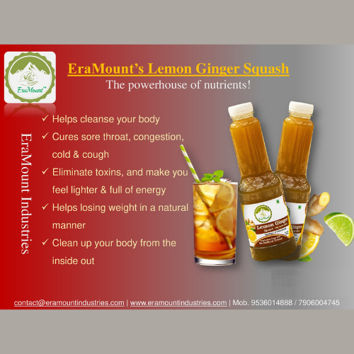 
                  
                    EraMount Lemon-Ginger Squash (Pack of 2) - 750ml
                  
                