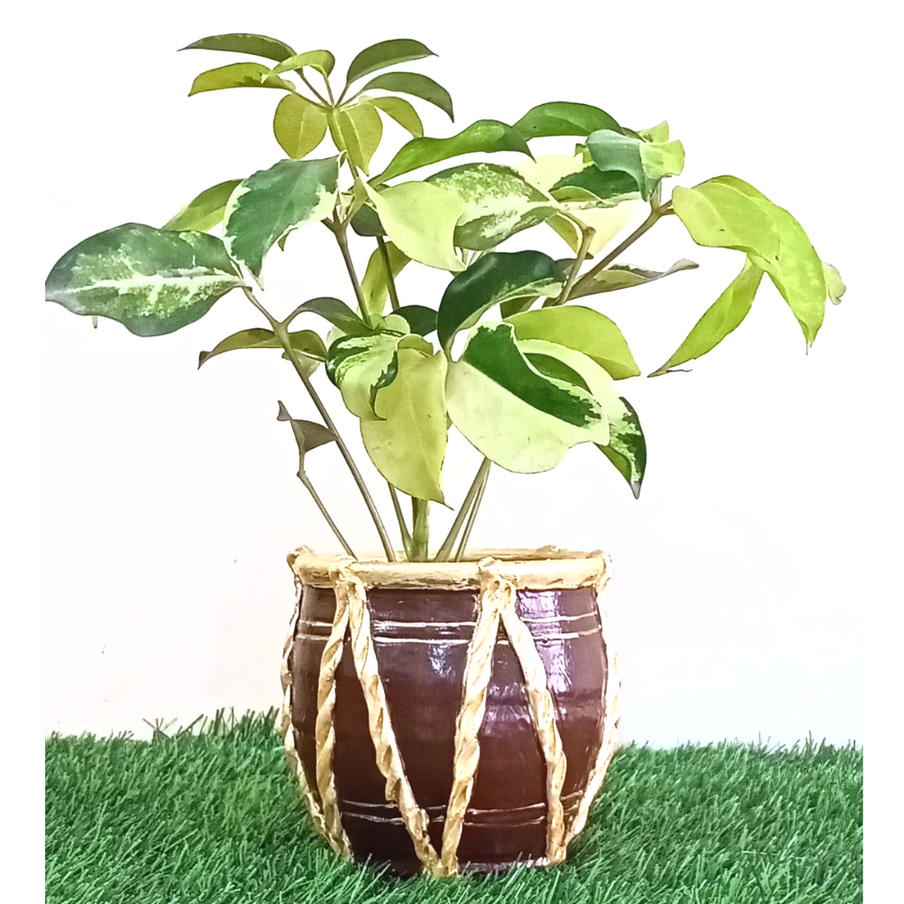 Brown Dholak Shaped Planter