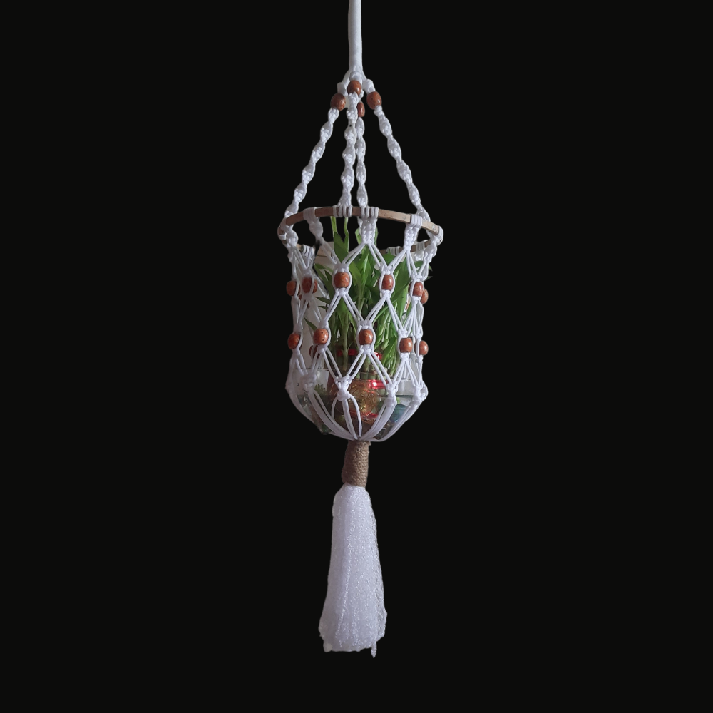 
                  
                    Macrame Hanging Planter Cum Lampshade
                  
                