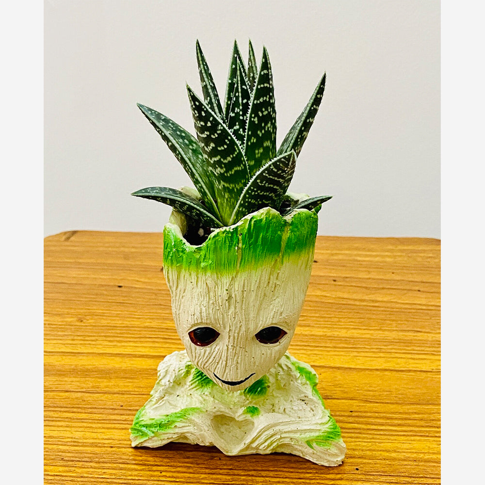 GoPlanto Aloe Tiki Succulent in Groot Planter