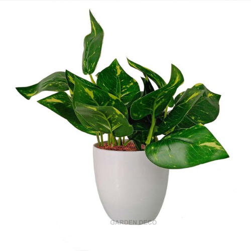 
                  
                    GARDEN DECO Artificial Potted Plant for Home and Office Décor (High Real Appearance) (1 PC)
                  
                