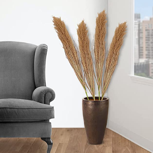 
                  
                    GARDEN DECO Broom Sedge for Home and Office Décor (1 PC)
                  
                
