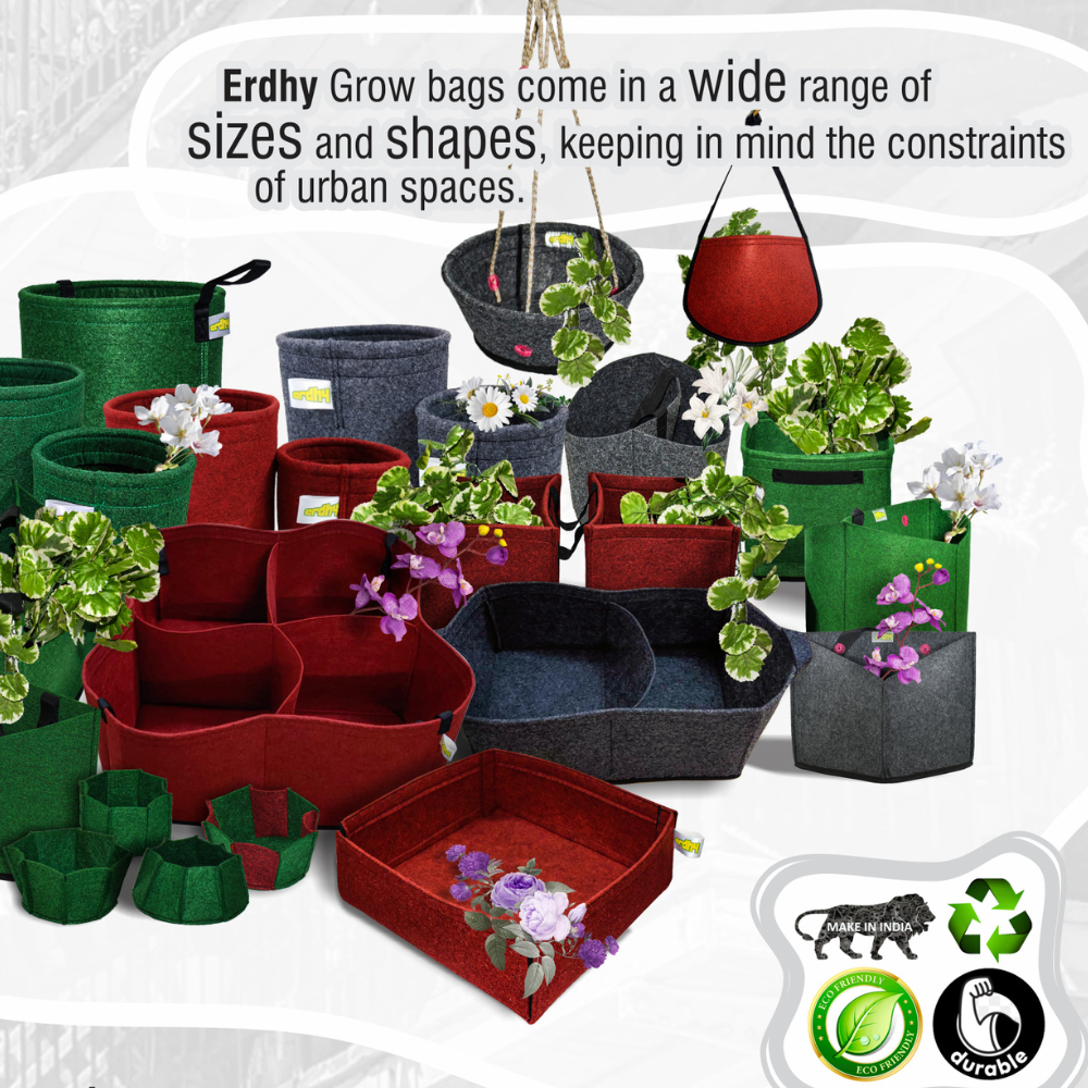 
                  
                    Erdhy Cuboid Grow Bags 9" (Set of 4)
                  
                