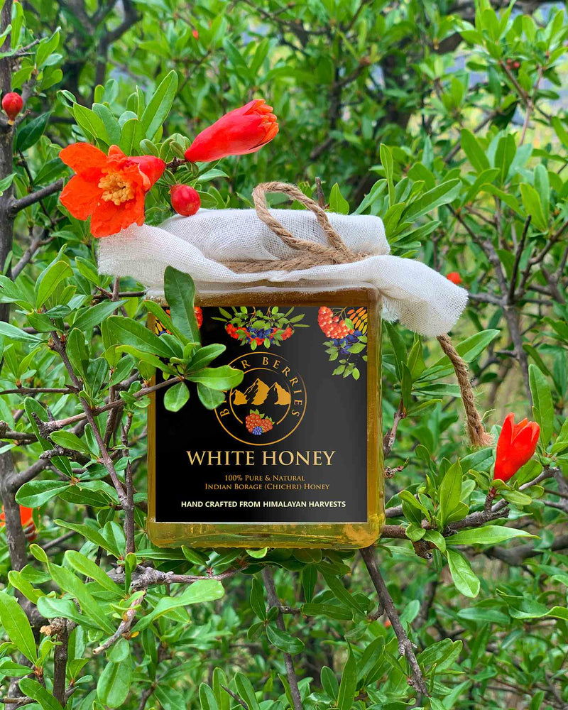
                  
                    White Honey (350g)
                  
                