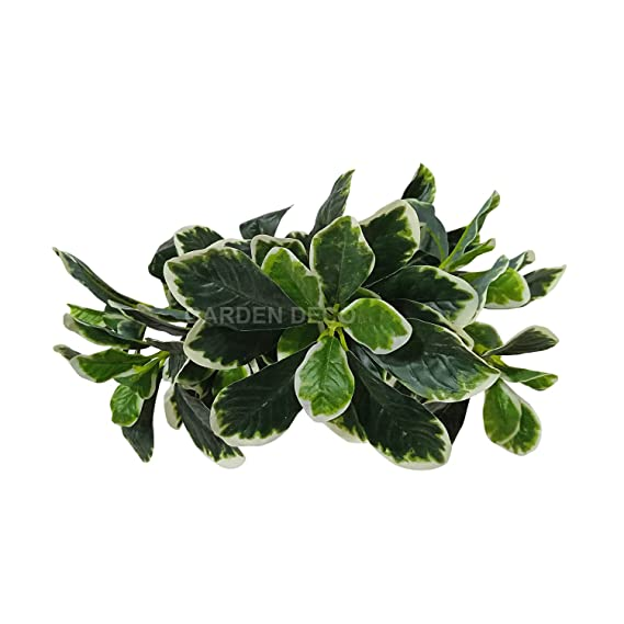 
                  
                    GARDEN DECO Artificial Bushy Plant for Home and Office Décor (High Real Appearance) (1 PC)
                  
                