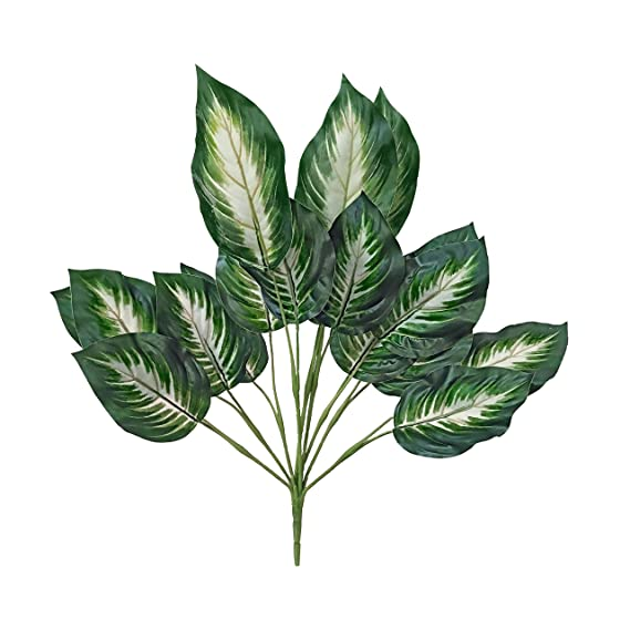 
                  
                    GARDEN DECO Dual Shade Big Leaf Artificial Plant for Home and Office Décor (High Real Appearance) (1 PC)
                  
                