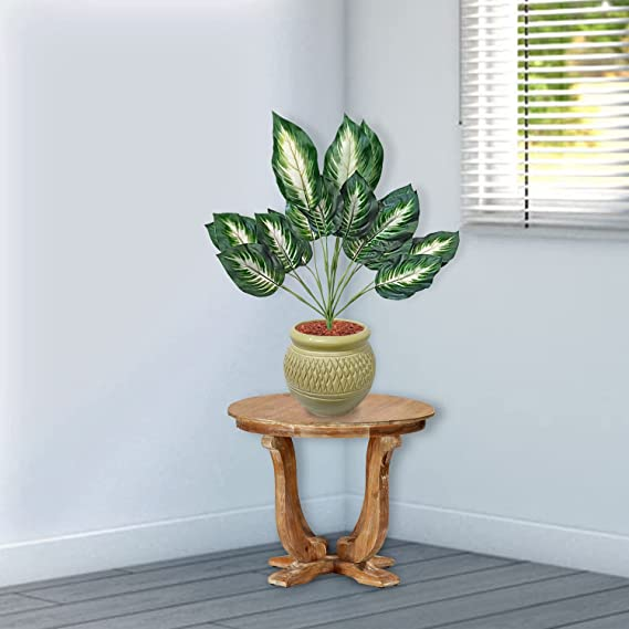 
                  
                    GARDEN DECO Dual Shade Big Leaf Artificial Plant for Home and Office Décor (High Real Appearance) (1 PC)
                  
                