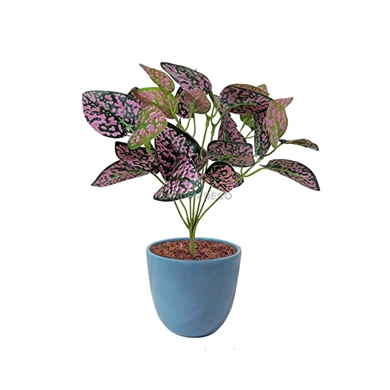GARDEN DECO Dual Shade Artificial Plant for Home and Office Décor (High Real Appearance) (1 PC)