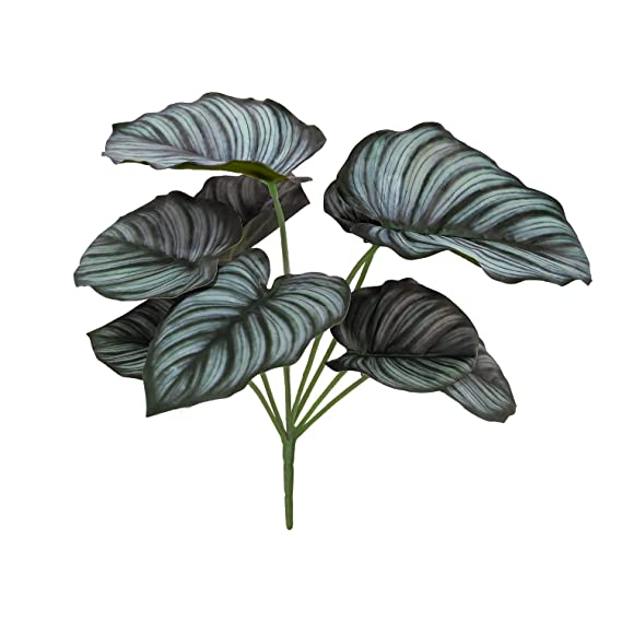
                  
                    GARDEN DECO Dual Shade Artificial Plant for Home and Office Décor (High Real Appearance) (1 PC)
                  
                