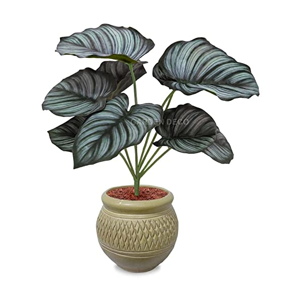
                  
                    GARDEN DECO Dual Shade Artificial Plant for Home and Office Décor (High Real Appearance) (1 PC)
                  
                