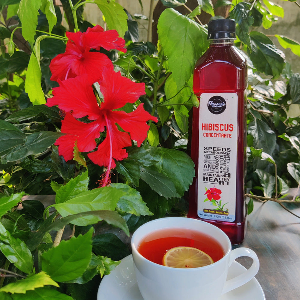
                  
                    Hibiscus Concentrate (750ml)
                  
                