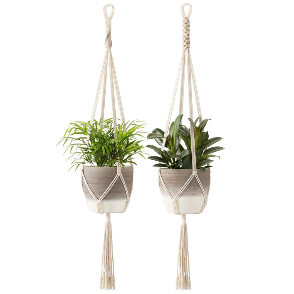 
                  
                    ecofynd White Macrame Cotton Boho Plant Hanger (Pack of 2)
                  
                