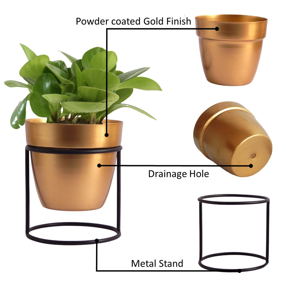 
                  
                    ecofynd Amy Gold Metal Planter Pot with Black Stand
                  
                