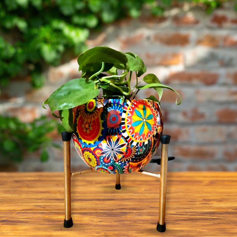 
                  
                    Apple Pot and Stand
                  
                