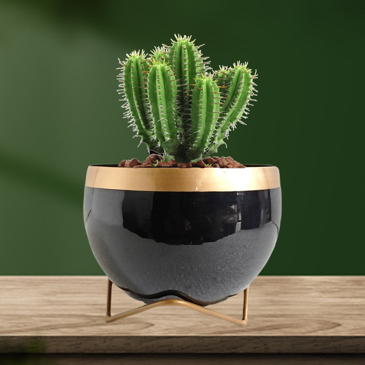 
                  
                    ecofynd Black Metal Planter Pot with Gold Stand
                  
                