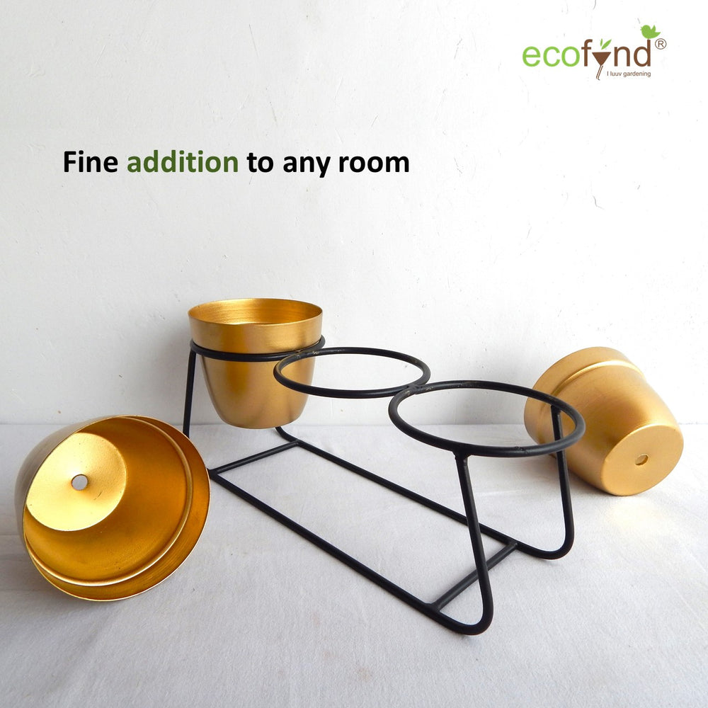 
                  
                    ecofynd Golden Modern Style Planter Set
                  
                