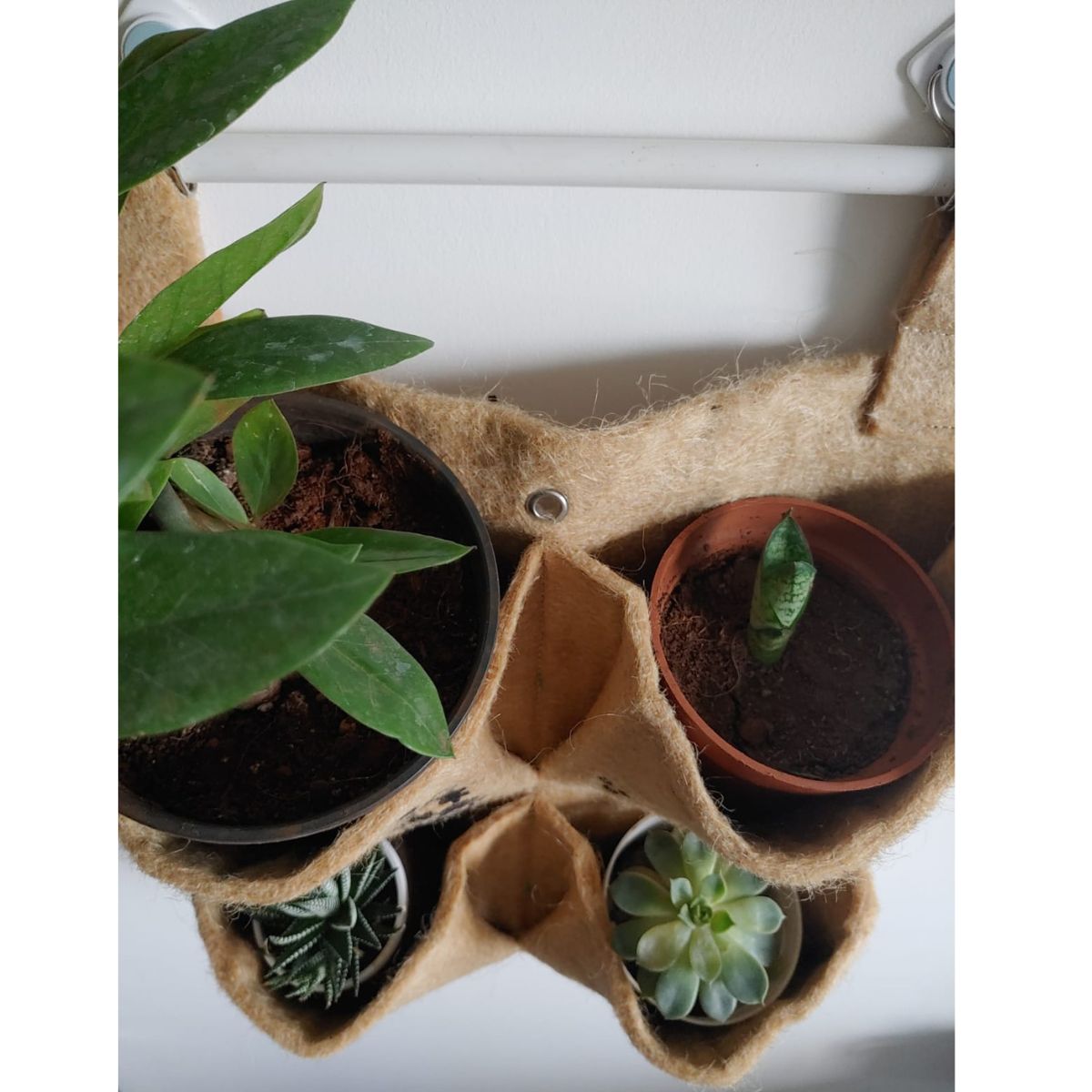 
                  
                    Ecotrendy Vertical Jute Plant hanger - 4 Pocket
                  
                