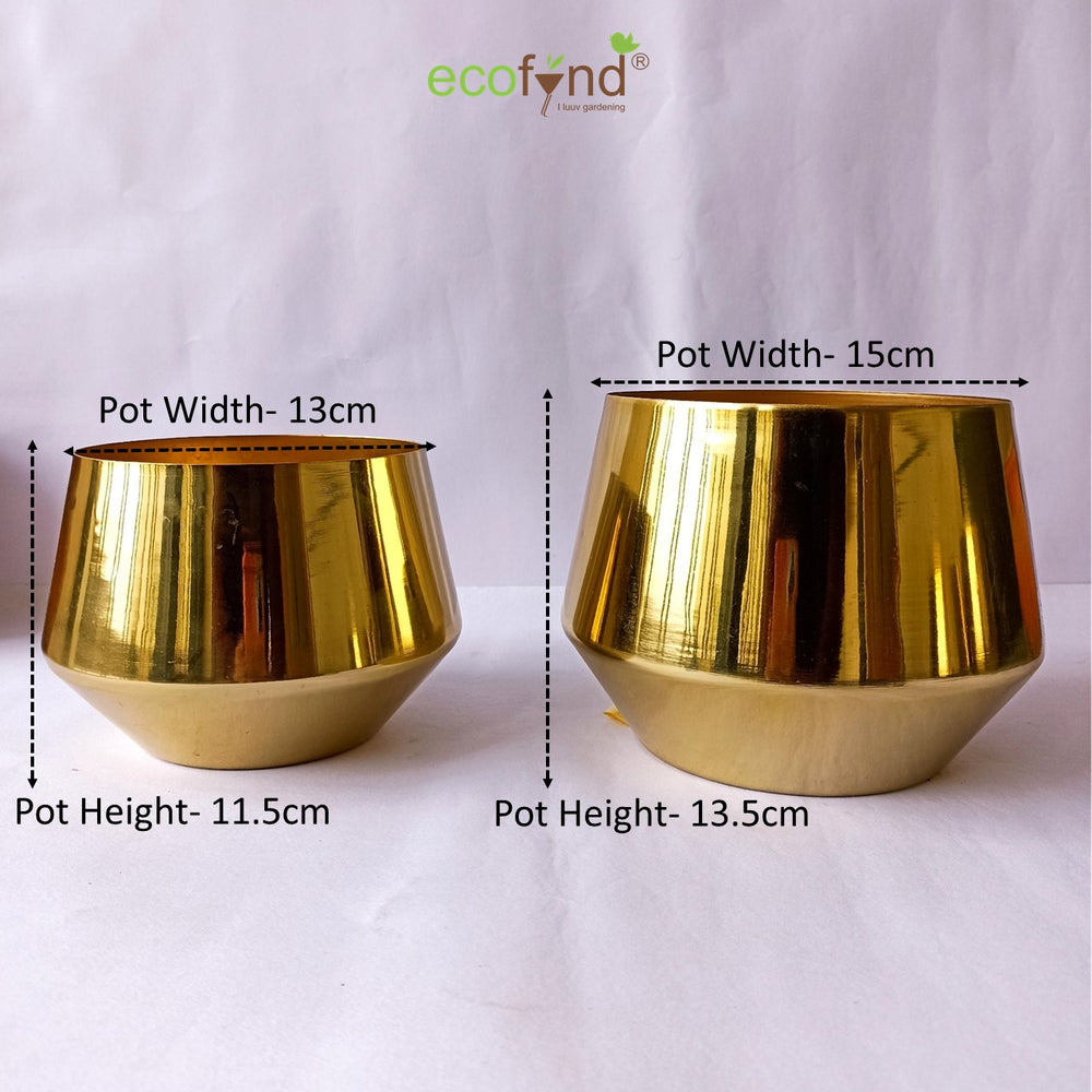 
                  
                    ecofynd Golden Alice Metal Plant Pot (Set of 2)
                  
                