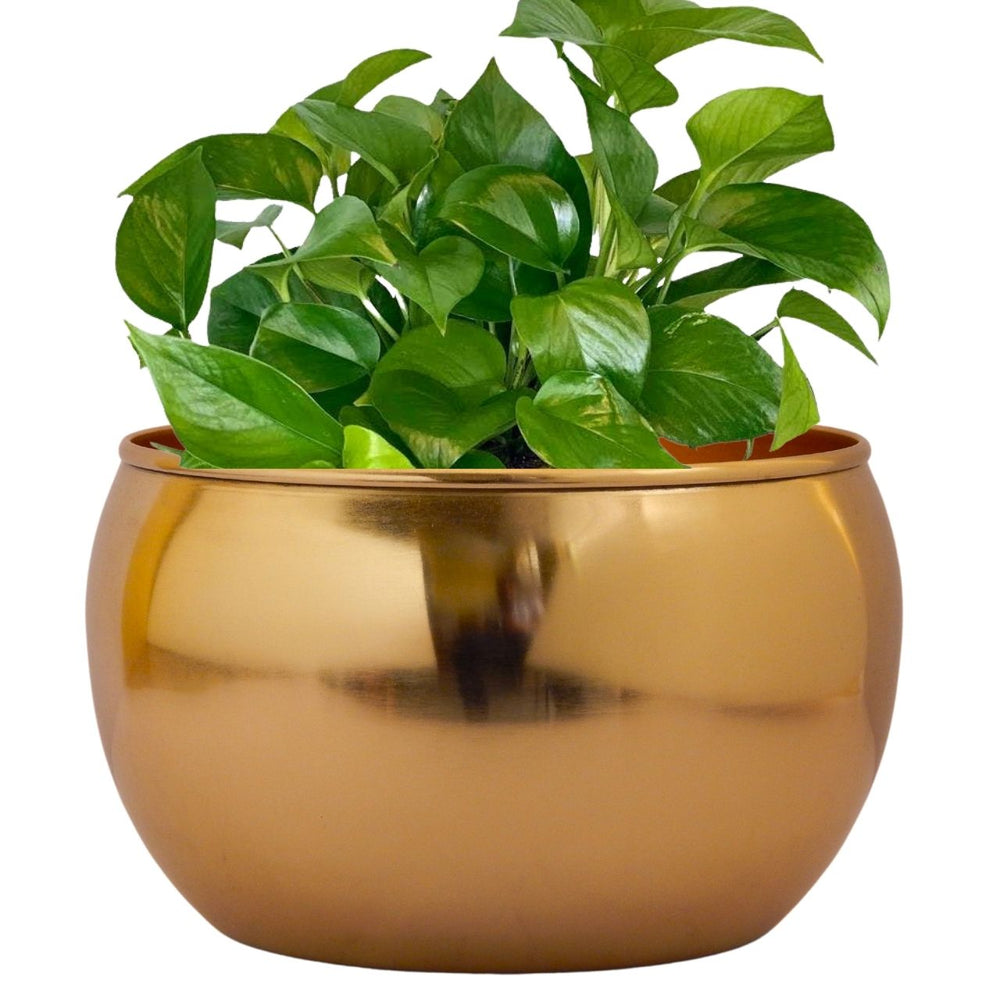 ecofynd Golden Metal Planter Pot with Gold Stand