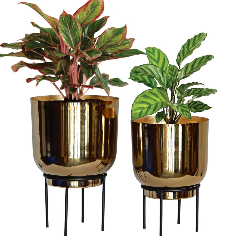 ecofynd Golden Eva Metal Plant Pot with Stand (Set of 2)