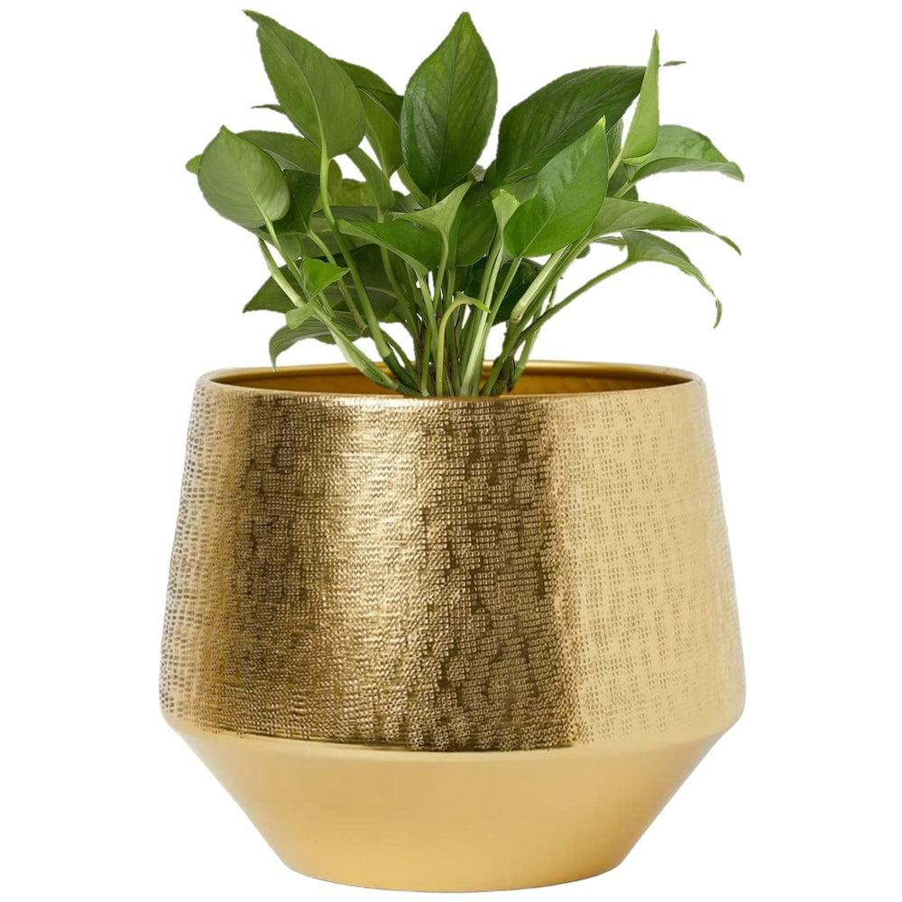 ecofynd Golden Eion Jr Metal Plant Pot