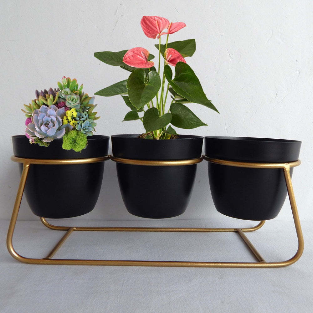 ecofynd Black Modern Style Planter Set