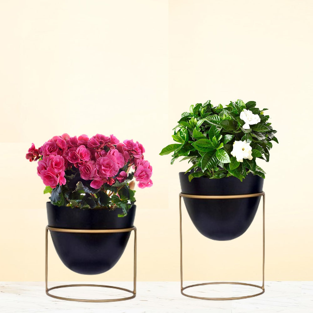 ecofynd Black Alle Metal Plant Pot with Stand (Set of 2)