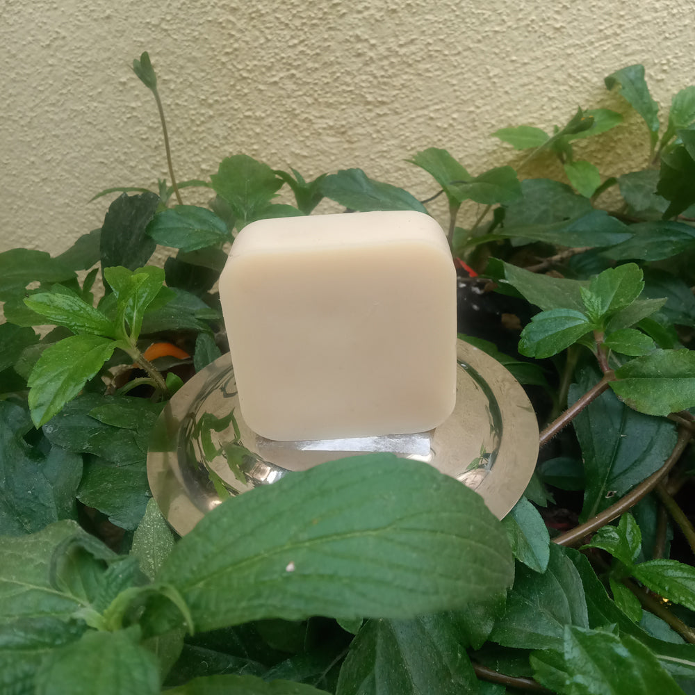 
                  
                    Handmade Coconut Oil Soap (100g)
                  
                