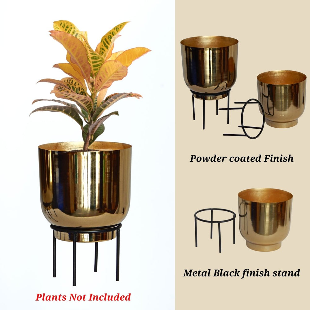 
                  
                    ecofynd Golden Eva Metal Plant Pot with Stand (Set of 2)
                  
                