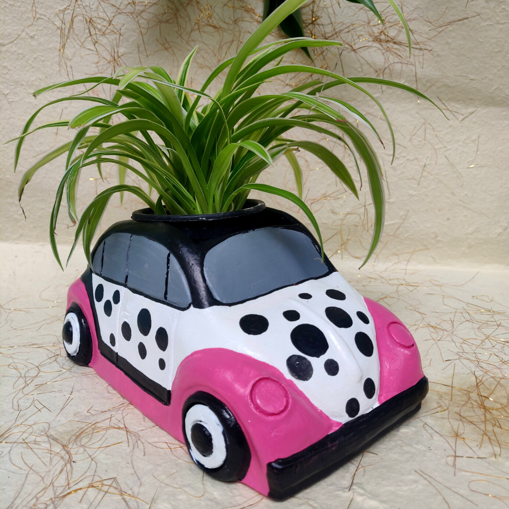 
                  
                    Car Planter
                  
                
